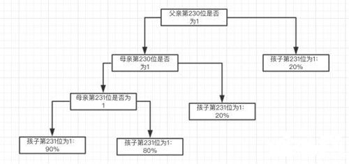 以太猫小猫