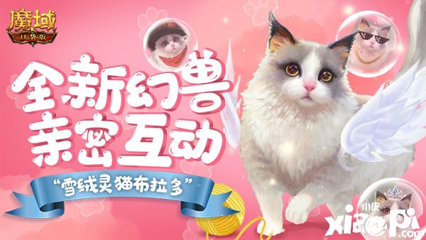 《魔域口袋版》“雪绒灵猫布拉多”将上线,多变造型满足你