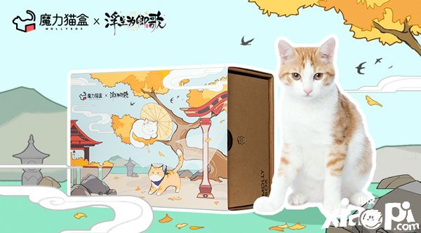 猫奴即将沦陷《浮生为卿歌》x魔力猫盒携手合作