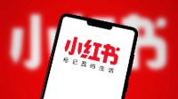 小红书被指偷画师作品炼AI 数据集侵权首批案件立案